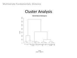 Cluster Analysis Objective: Group Data Points Into Classes of Similar Points Based on a Series of Variables