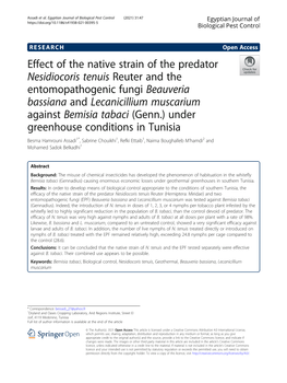 Effect of the Native Strain of the Predator Nesidiocoris Tenuis Reuter