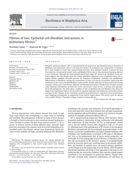 Fibrosis of Two: Epithelial Cell-Fibroblast Interactions in Pulmonary Fibrosis