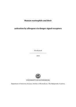 Human Eosinophils and Their Activation by Allergens Via Danger