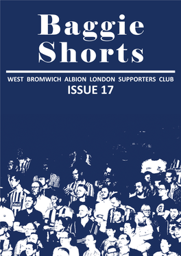 Baggie Shorts Issue 17