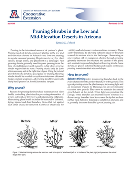 Pruning Shrubs in the Low and Mid-Elevation Deserts in Arizona Ursula K