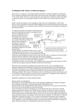 Cartilaginous Fish: Sharks, Sawfish and Stingrays