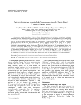 Cinnamomum Tamala (Buch.-Ham.) T.Nees & Eberm