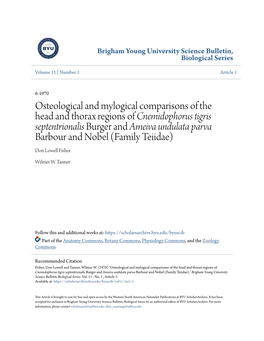 Osteological and Mylogical Comparisons of the Head and Thorax