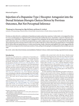 Injection of a Dopamine Type 2 Receptor Antagonist Into the Dorsal Striatum Disrupts Choices Driven by Previous Outcomes, but Not Perceptual Inference