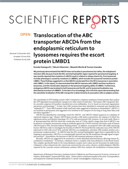 Translocation of the ABC Transporter ABCD4 from the Endoplasmic