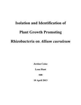 Isolation and Identification of Plant Growth Promoting Rhizobacteria On