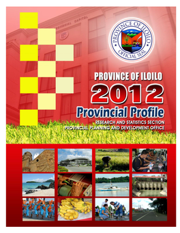 Iloilo Provincial Profile 2012