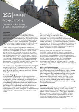 Project Profile Castell Coch: Bat Survey & Licence Implementation
