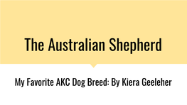 The Australian Shepherd