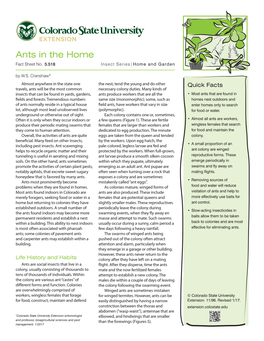 Ants in the Home Fact Sheet No