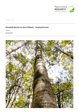 Phosphite Barriers for Kauri Dieback – Scoping Exercise