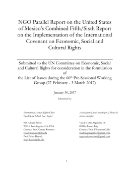 NGO Parallel Report on the United States of Mexico's Combined
