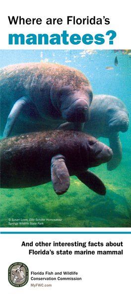 Where Are Florida's Manatees?