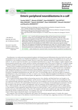 Enteric Peripheral Neuroblastoma in a Calf