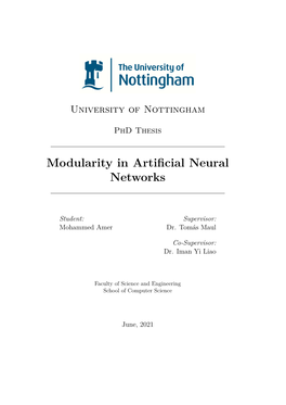 Modularity in Artificial Neural Networks
