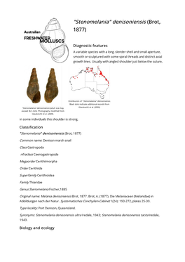 Stenomelania Denisoniensis