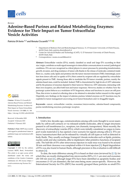 Adenine-Based Purines and Related Metabolizing Enzymes: Evidence for Their Impact on Tumor Extracellular Vesicle Activities