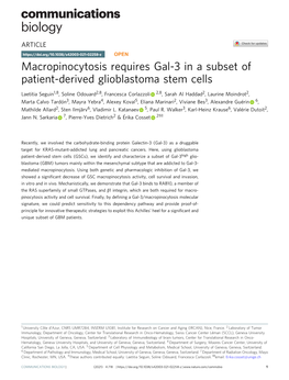 Macropinocytosis Requires Gal-3 in a Subset of Patient-Derived Glioblastoma Stem Cells