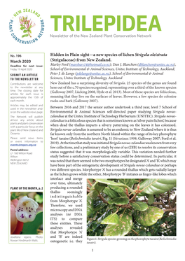 Hidden in Plain Sight—A New Species of Lichen Strigula Oleistrata March 2020 (Strigulaceae) from New Zealand