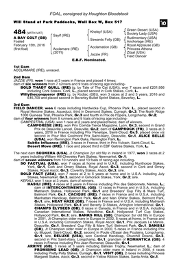 FOAL, Consigned by Houghton Bloodstock