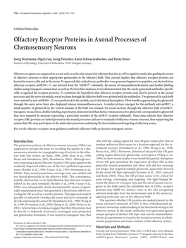 Olfactory Receptor Proteins in Axonal Processes of Chemosensory Neurons