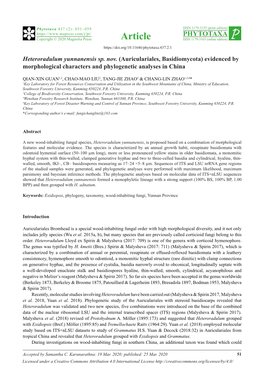 Auriculariales, Basidiomycota) Evidenced by Morphological Characters and Phylogenetic Analyses in China