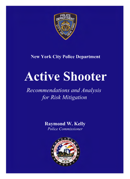 Active Shooter Recommendations and Analysis for Risk Mitigation