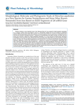 Morphological, Molecular and Phylogenetic Study of Filenchus