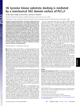 Itk Tyrosine Kinase Substrate Docking Is Mediated by a Nonclassical SH2 Domain Surface of PLC␥1