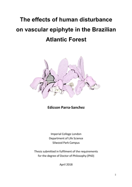 The Effects of Human Disturbance on Vascular Epiphyte in the Brazilian Atlantic Forest
