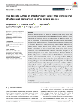 The Denticle Surface of Thresher Shark Tails: Three-Dimensional Structure and Comparison to Other Pelagic Species