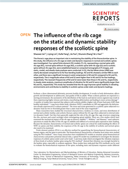 The Influence of the Rib Cage on the Static and Dynamic Stability