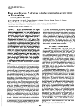 Exon Amplification: a Strategy to Isolate Mammalian Genes Based on RNA Splicing (Gene Cloning/Polymerase Chain Reaction) ALAN J