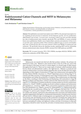 Endolysosomal Cation Channels and MITF in Melanocytes and Melanoma