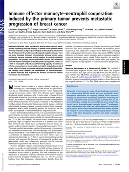 Immune Effector Monocyte–Neutrophil Cooperation Induced by the Primary Tumor Prevents Metastatic Progression of Breast Cancer