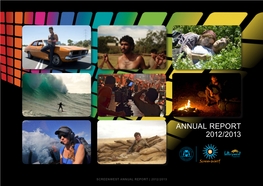 Annual Report 2012/2013