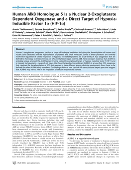 Human Alkb Homologue 5 Is a Nuclear 2-Oxoglutarate Dependent Oxygenase and a Direct Target of Hypoxia- Inducible Factor 1A (HIF-1A)