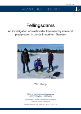 2. Chemical Precipitation in Fellingsdams