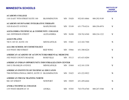 Minnesota Schools Institute of Higher Education