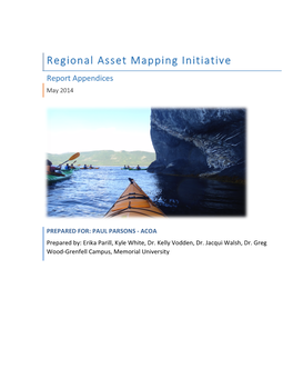 Regional Asset Mapping Initiative. Report Appendices