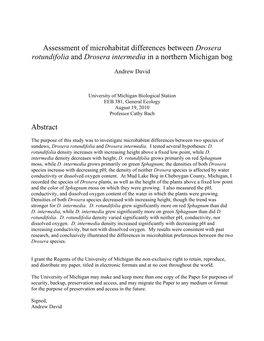 Drosera Intermedia in a Northern Michigan Bog