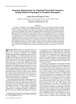 Homology Requirements for Targeting Heterologous Sequences During P-Induced Gap Repair in Drosophila Melanogastd