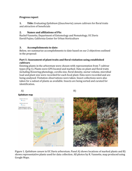 Evaluating Epilobium (Zauschneria) Canum Cultivars for Floral Traits and Attraction of Beneficials