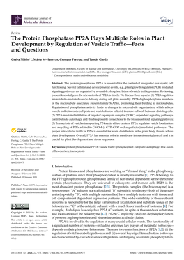 The Protein Phosphatase PP2A Plays Multiple Roles in Plant Development by Regulation of Vesicle Trafﬁc—Facts and Questions