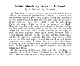 Some Monterey Trees in Ireland by A