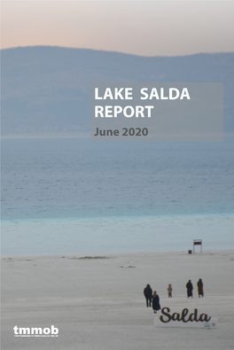 Tmmob Lake Salda Report 0 0.Pdf