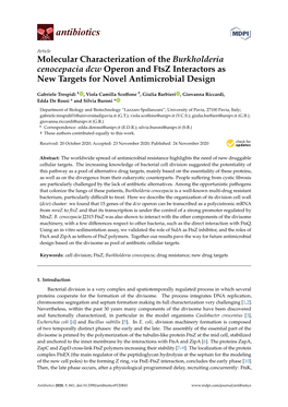 Molecular Characterization of the Burkholderia Cenocepacia Dcw Operon and Ftsz Interactors As New Targets for Novel Antimicrobial Design