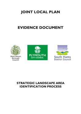 Strategic Landscape Area Identification Process